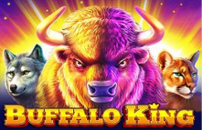 Buffalo King